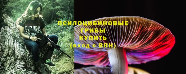 дурь Козельск