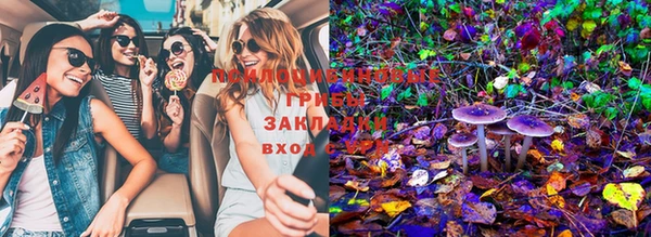 шишки Лиски