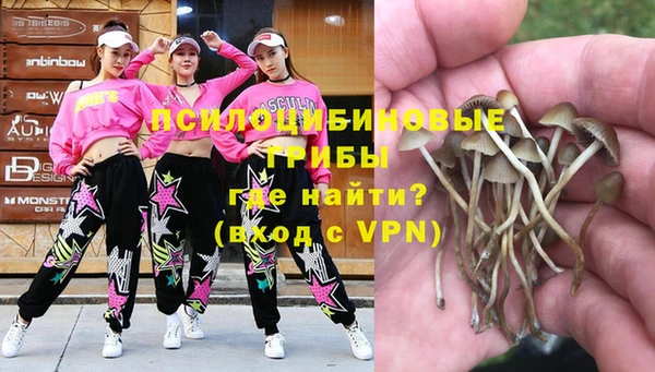 герыч Козловка