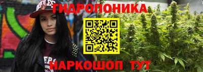 круглые Новокубанск